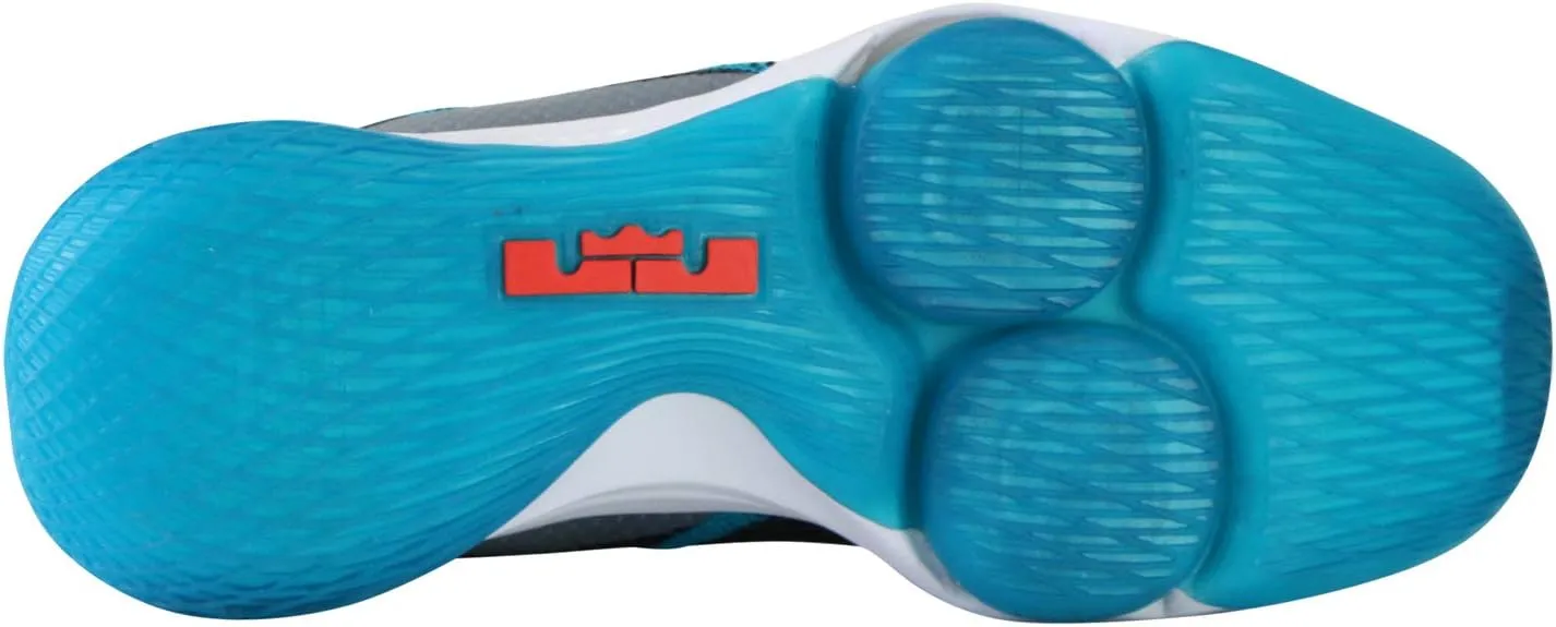 Nike Men's Lebron Witness IV Basketball Shoes